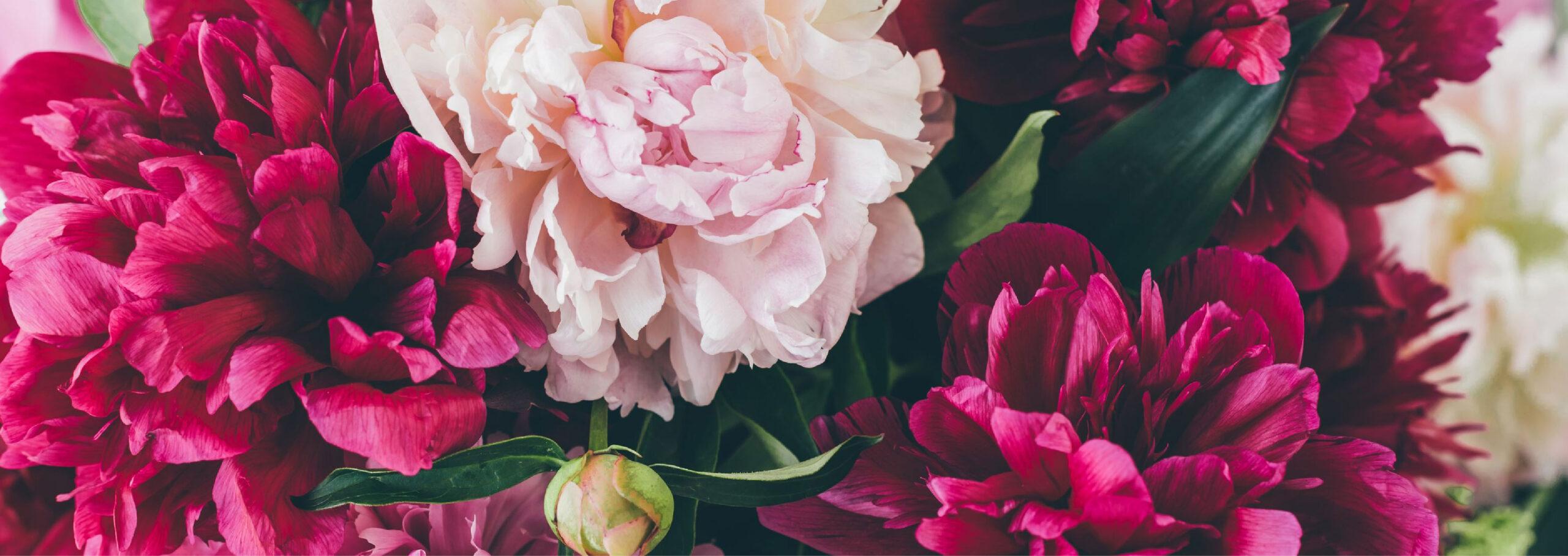 FLUSSO MESTRUALE: i dispositivi igienici