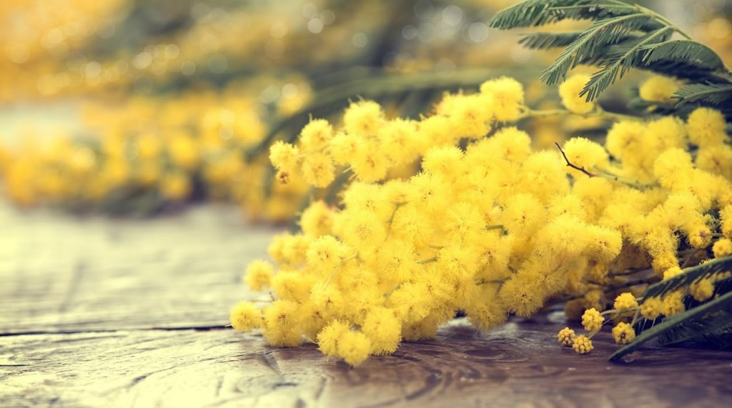 Marzo, il mese delle Donne